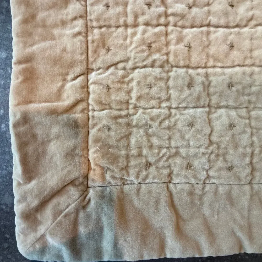 Two Pottery Barn Velvet Pillow Covers 20